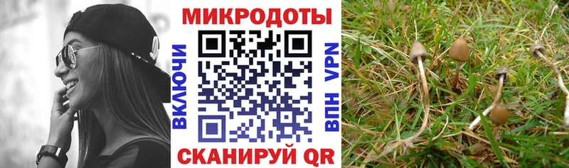 наркотики  Дмитриев  Галлюциногенные грибы ЛСД 